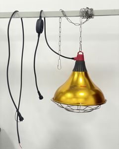 Lamp protector 300 1m male &1.5m female.304 cage2m304chain